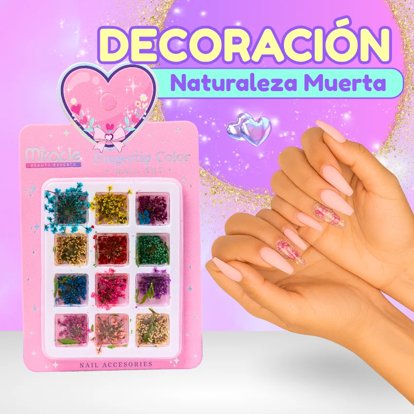 Decoración Naturaleza Muerta